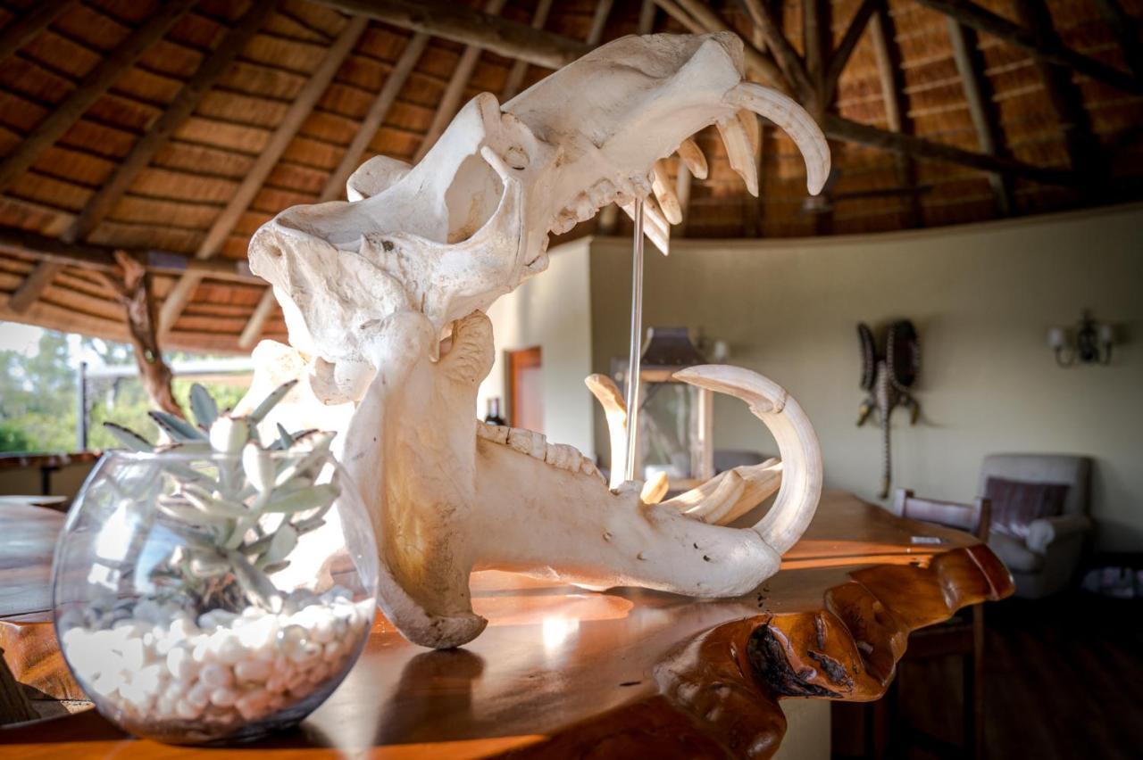 Kambaku River Sands Timbavati Game Reserve Exterior photo
