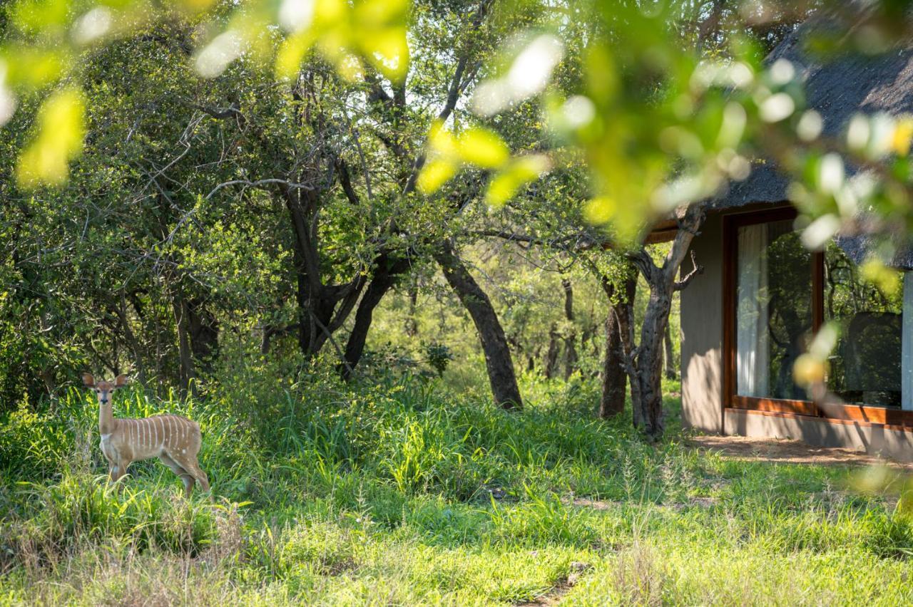 Kambaku River Sands Timbavati Game Reserve Exterior photo