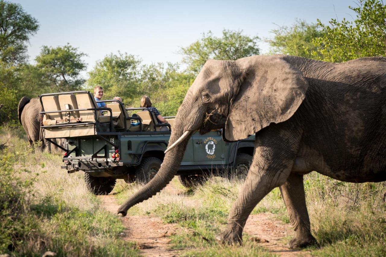 Kambaku River Sands Timbavati Game Reserve Exterior photo