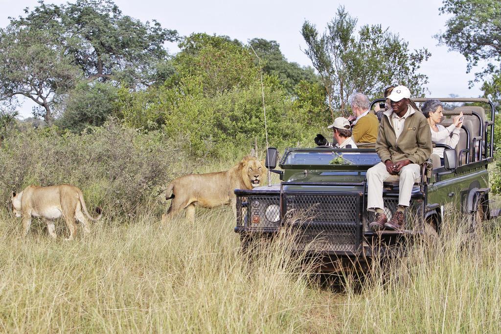 Kambaku River Sands Timbavati Game Reserve Exterior photo