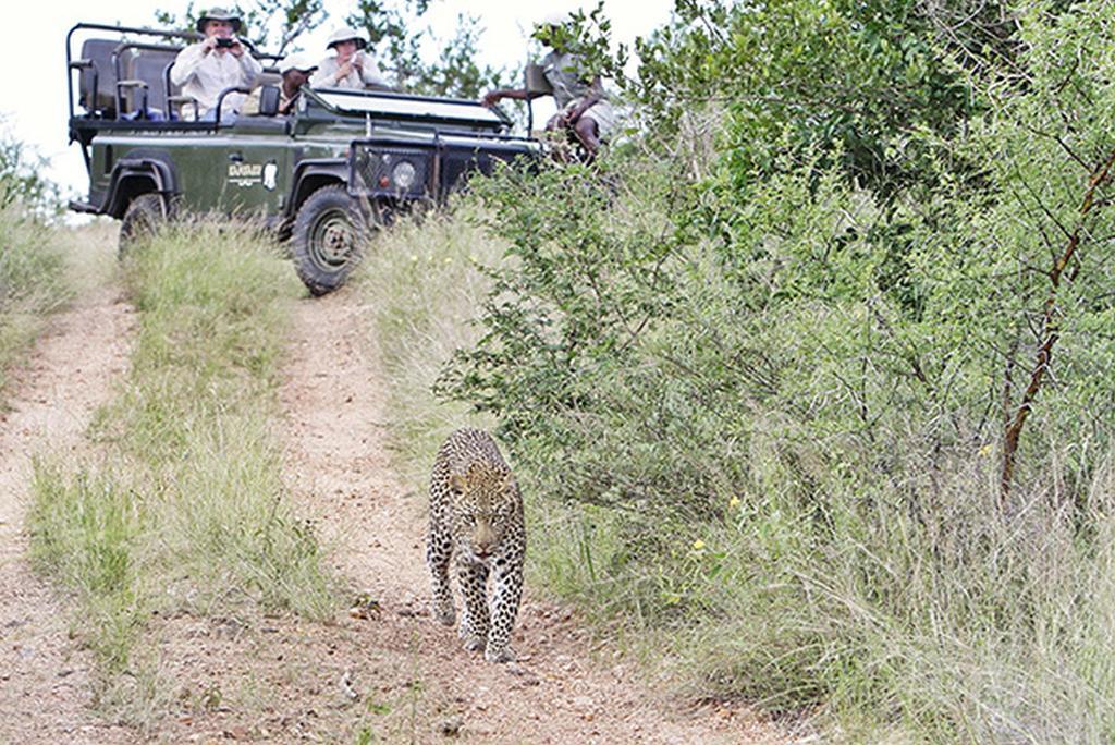 Kambaku River Sands Timbavati Game Reserve Exterior photo